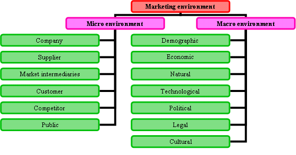 Determinants Of Consumer Buying Behavior Management Education