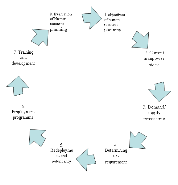 describe the human resource planning process