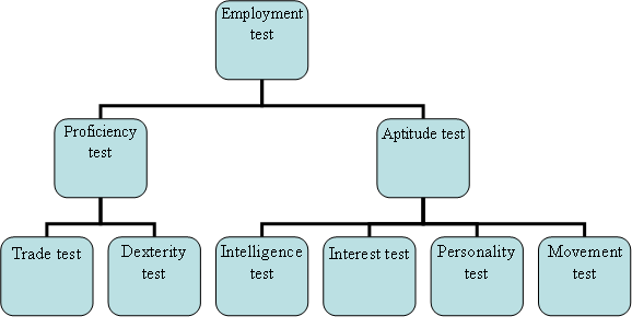 Different Types Of Employment Tests Management Education