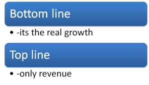 Bottom and top line growth