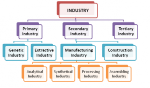 industry characteristics case study